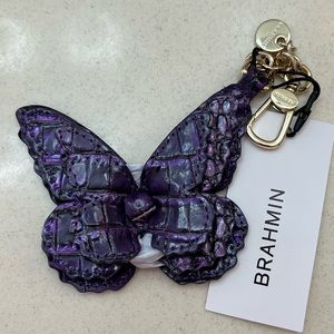 Brahmin Ultraviolet Butterfly